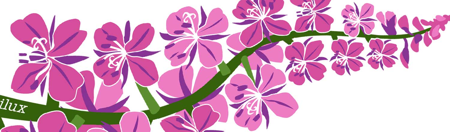 EQUILUX-Fireweed